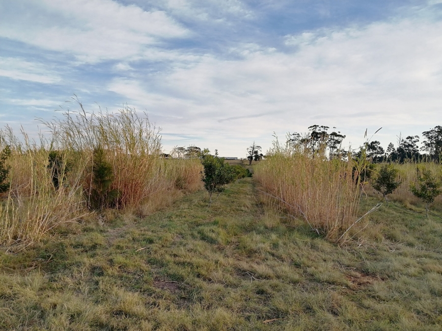 2 Bedroom Property for Sale in Kidds Beach Eastern Cape
